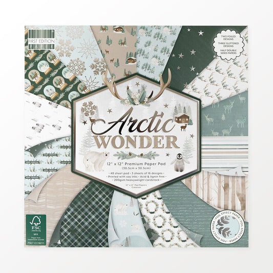 First Edition Christmas 12 x 12 premium paper pad - Arctic wonder